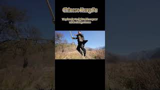 Horse and spear the classic ancient battle combo. #kungfu #martialarts #funn #fyp #wushu #horse