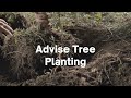  Oklahoma Arborist - Arbor Image Tree Care