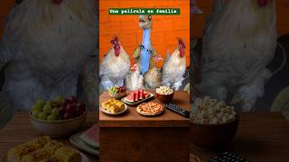 Pobre Lino le dejaron sin bocaditos #gallos #mascotas #LinoElGalloConBotas #fyp