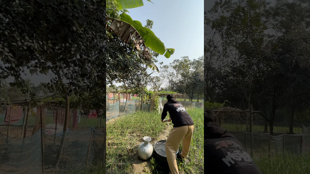 Gaon ki mini farming 🌾😍|| 