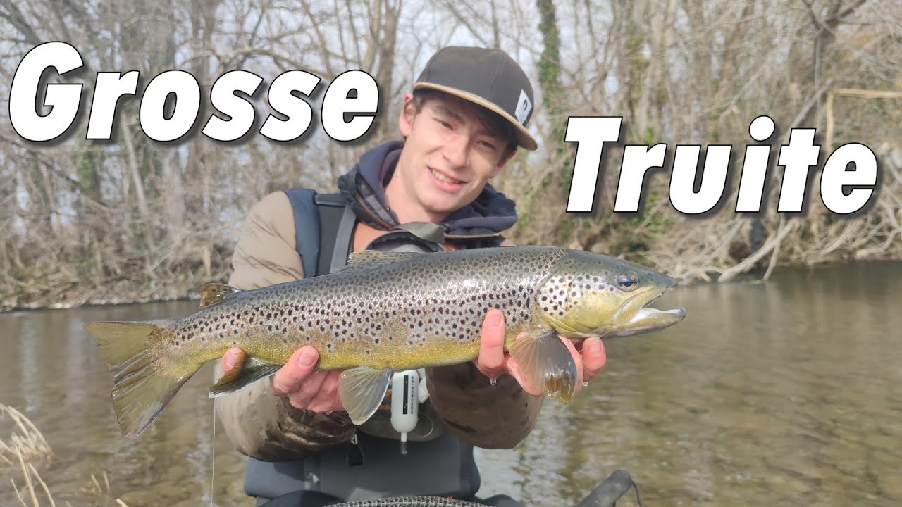 Grosse truite au toc nymphe pour démarré la saison