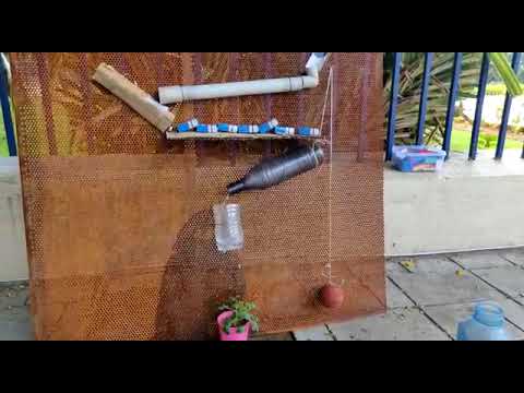 Rube Goldberg Water A Plant