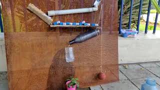 Rube Goldberg Water A Plant