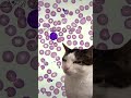 Esta célula está RARA #laboratorioclínico #humor #medicina #memes #laboratorio #microscopio