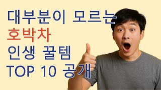 지금 안사면 후회하는 호박차 TOP10