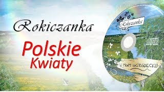 Rokiczanka - Polskie kwiaty (TEKST)