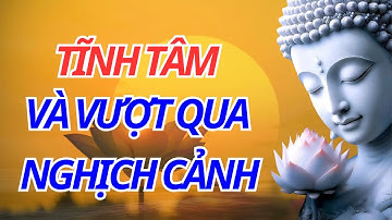 Tĩnh Tâm Và Vượt Qua Nghịch Cảnh, Tâm Thái Quyết Định Vận Mệnh | Kể Chuyện Nhân sinh