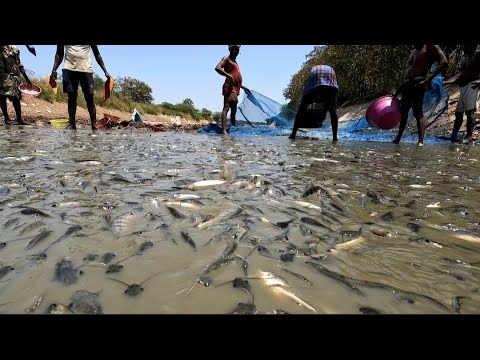 “Epic Fishing Adventure: Conquering the River with Friends!” | “River Fishing Fun with Friends!”