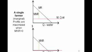 AGEC 350: Static and Dynamic Efficiency Part 1