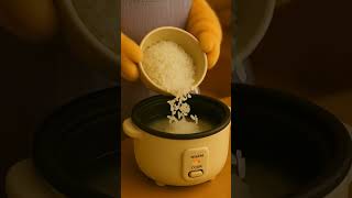 How to Cook Rice – Momo Cozy Cat Kitchen Style | ASMR Cat Cooking