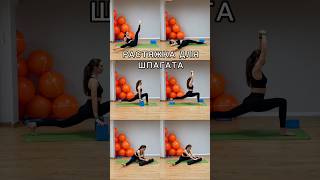 Упражнения на шпагат + мобильность ТБС ➡️ #фитнес #спорт #здоровье #шпагат # растяжка