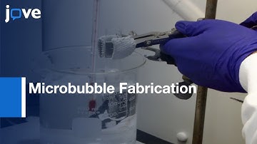 Microbubble Fabrication Of Concave-Porosity PDMS Beads l Protocol Preview