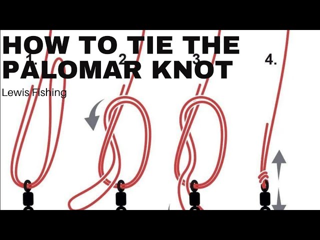 How to Tie the Palomar Knot - Lewis Fishing 