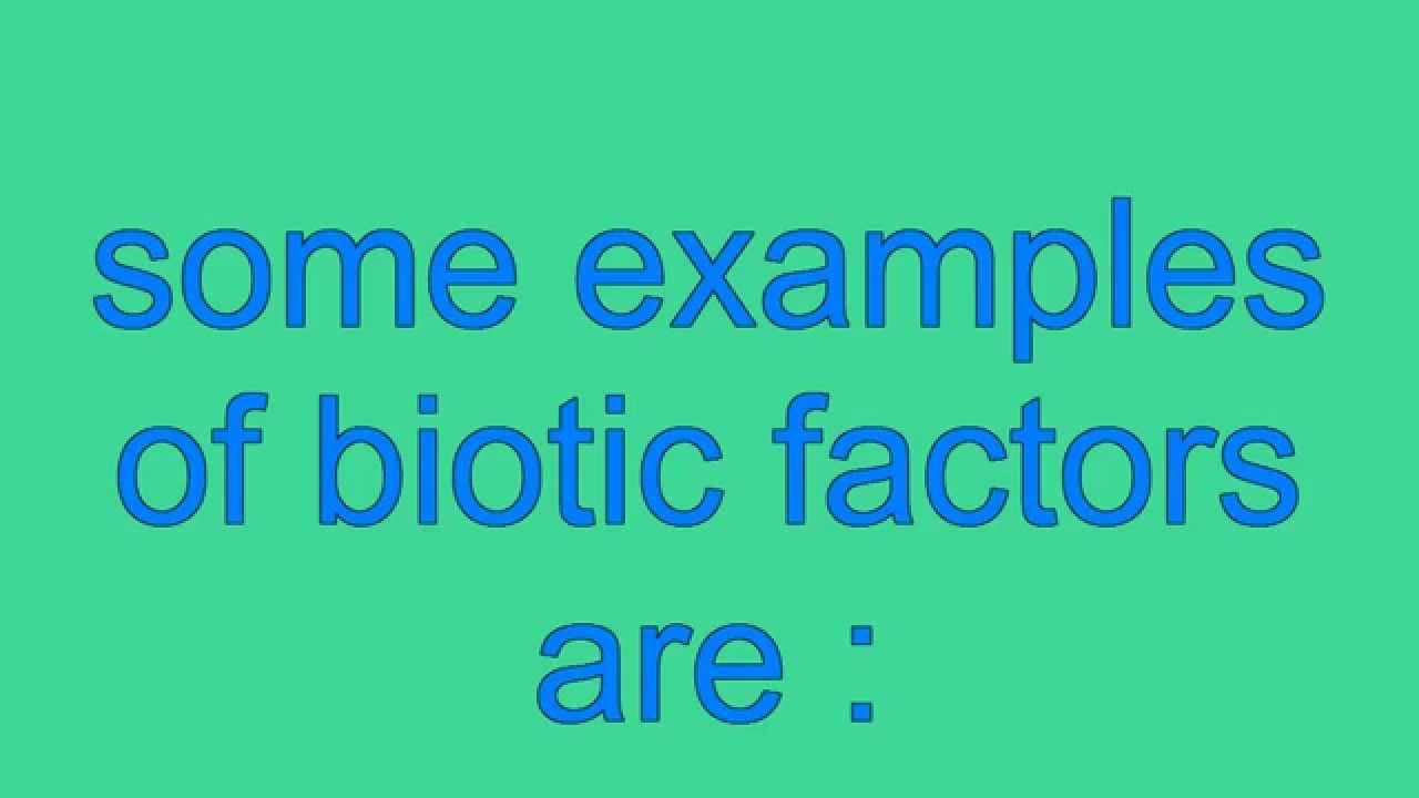 What are biotic factors?