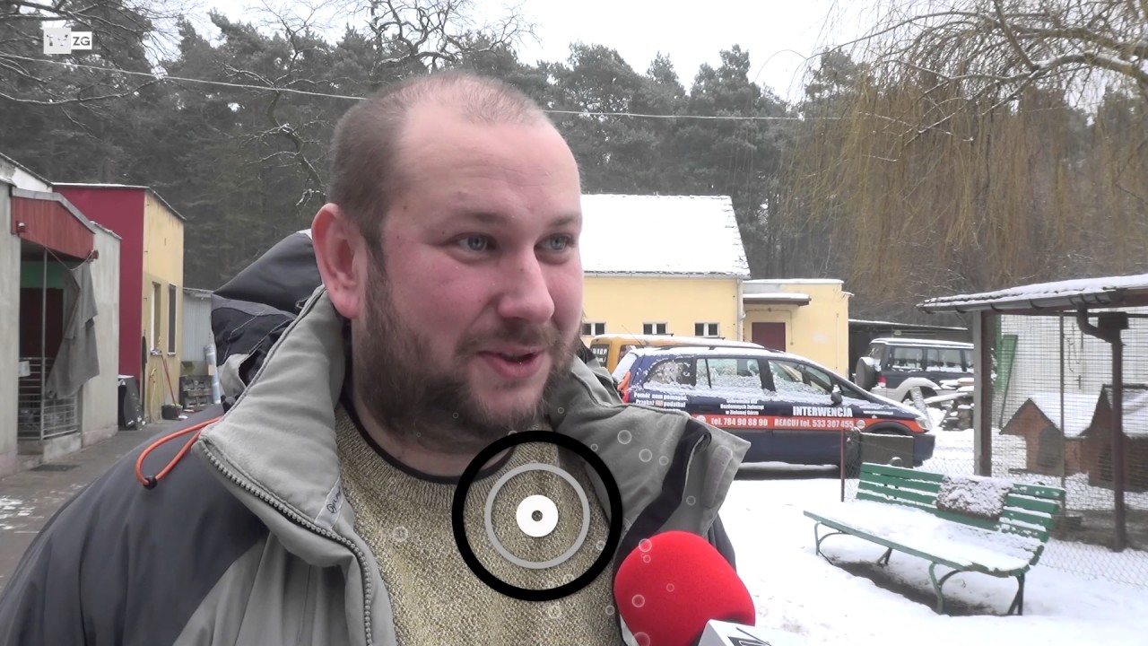 TvZG pl Psi Dramat W Schronisku YouTube
