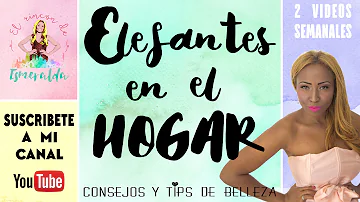 O que significa tromba do elefante?