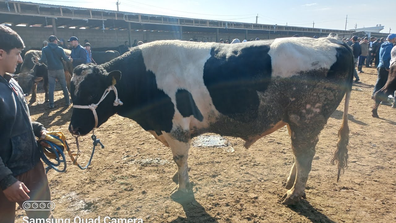 МОЛБОЗОРИ ХОЧИ ШАРИФ 20 февраля 2026 г.