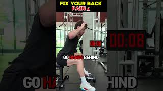 No Equipment Back Pain Fix @lowbackability