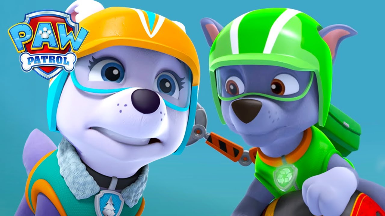 Rocky redt Alex en Danny X uit Risky Ridge | PAW Patrol Nederlands