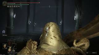152 - Deathtouched Catacombs Black Knife Assassin