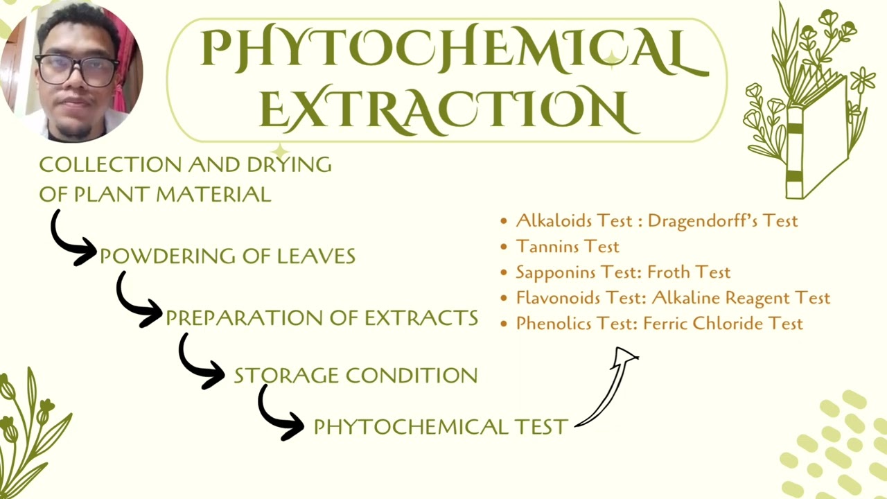 SENDUDUK AND HARUM MANIS LEAVES MORPHOLOGICAL AND PHYTOCHEMICAL ANALYSIS 