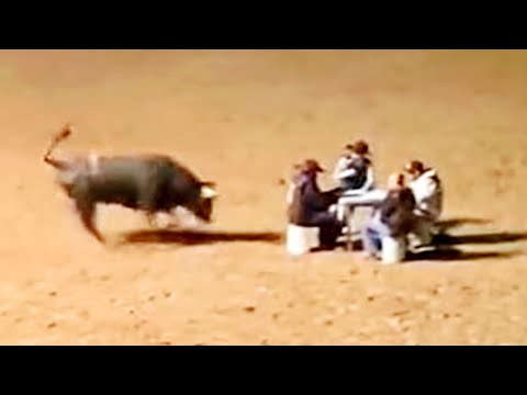 'Cowboy Poker' game seen on 'Yellowstone' show played in New Mexico   sky star news channel