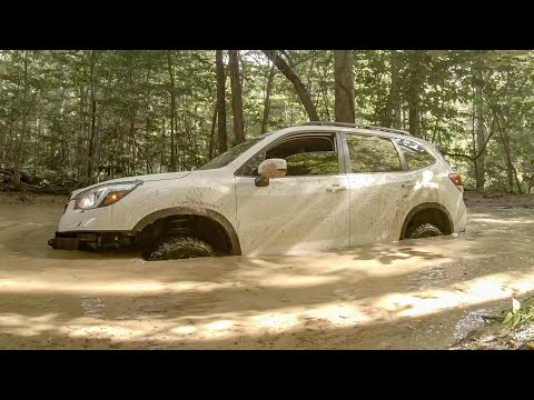 Subaru Forester in Deep Trouble @MatthewHeiskell