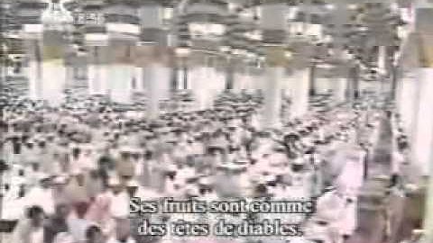 بكاء الشيخ ماهر المعيقلي في  سورة الصافات مقطع مؤثر