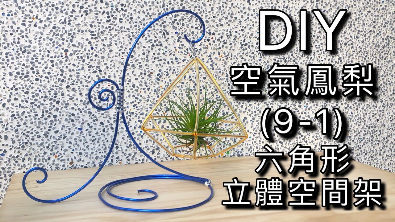Diy鋁線如何製作空氣鳳梨六角形立體空間架diy How To Make Aluminum Wire Air Plant Diamond Three Dimensional Frame Youtube