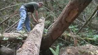 Father Son Day Hike, Return to Cougar Ridge