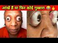 Biggest Eye in the World 🔥| दुनिया की सबसे बड़ी आंखें😱| World Biggest Eye #short #trending #facts