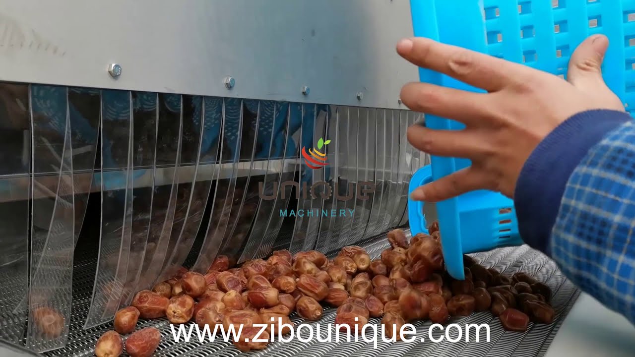 Palm dates processing line from Zibo Unique Machinery - YouTube