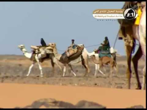 سلسلة نقطة ضوء قبائل البجا في السودان Youtube