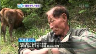 [SBS] 생방송 투데이 (20110526) 명장면 반평생의 우정