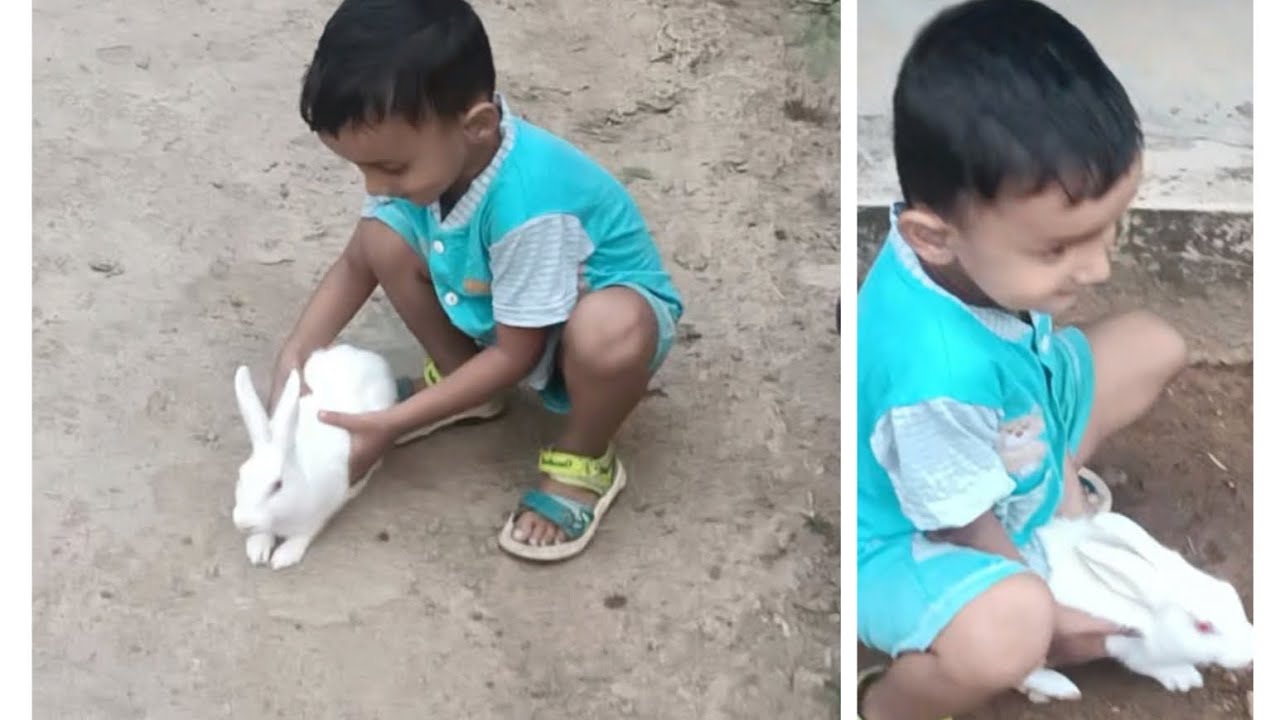 Fun time with Rabbits 😀cute baby playing with bunnies💚 Hop little