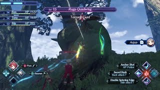 Xenoblade Chronicles 2 Switch Gameplay