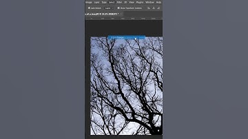 SELECTING OBJECTS WITH COLOR RANGE | USING PHOTOSHOP