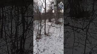 Нужно просто побольше двигаться. Для здоровья