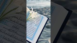 🌻🌼🎀#allah #allbayan #islamicyoutube #nasheed #prophetmuha#explore #whatsappstatus #like #vairal #yt
