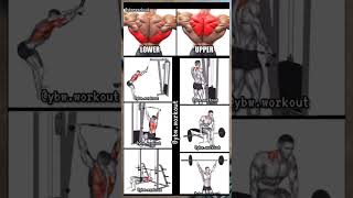 Upper and Lower Back Workout 💪 #shorts #fitness #motivation #workout