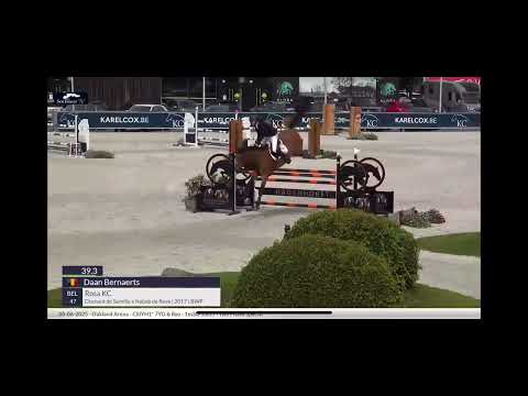 Rosa KC CSIYH 7/8 YO Opglabbeek 5th place