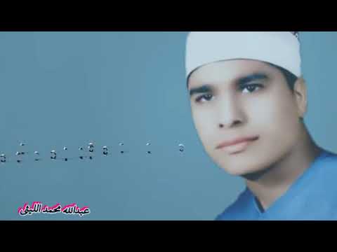 يوم يفر المرء من أخيه الشيخ محمد الليثي