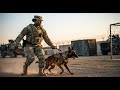 Instructor yelled “handler error” at a Black K9 handler on the field — and then this happened