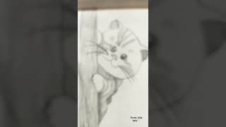 Cutie Pie Cat Drawing