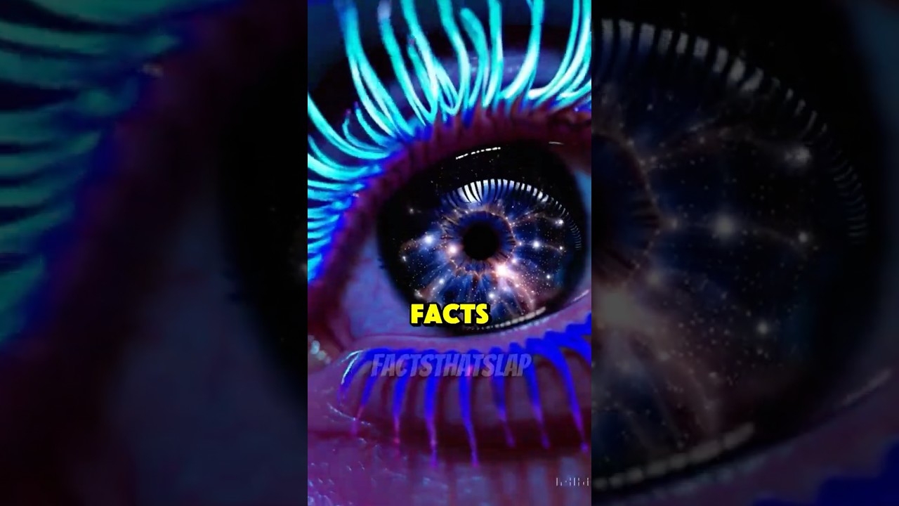 4 Insane Facts You’ll Never Believe Exist 🌍🔥 