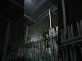 وليل طويل ونيران شوق وأسى باك