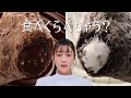 【1分耐久】宮野真守與寺島拓篤的巧克力派CM【甜】