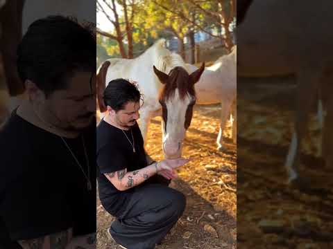 فيديو عفوي يجمع محمد الدايخ بابنته في حديقة الحيوانات