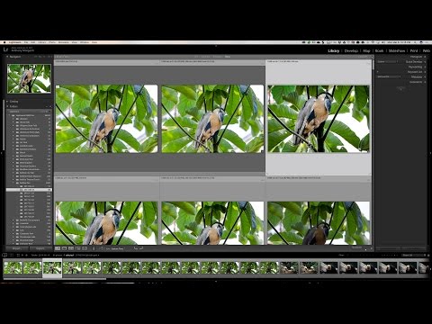 Lightroom Quick Tips - Episode 87: Grid View Info