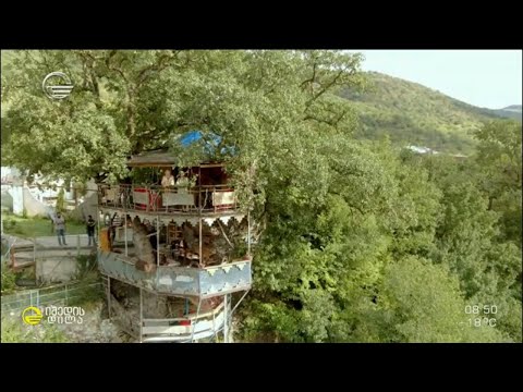 სახლი 500-წლოვან მუხაზე და შუმერული მუზეუმის ისტორია